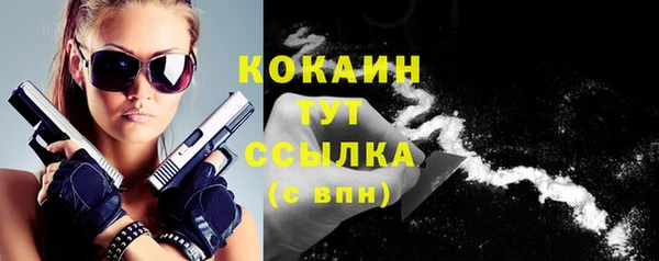 спайс Снежногорск