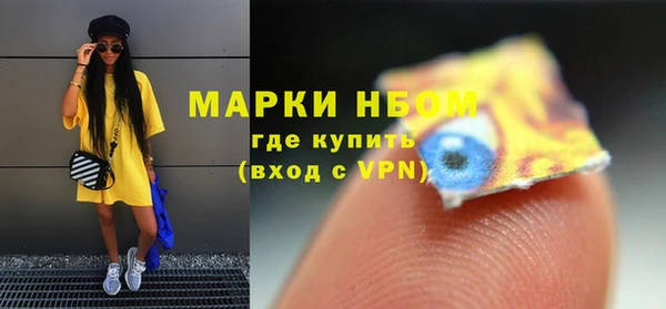 хмурый Арсеньев