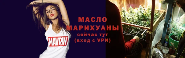 хмурый Арсеньев