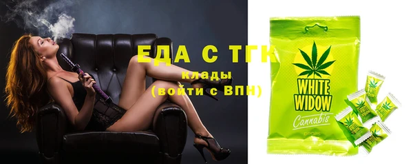 хмурый Арсеньев
