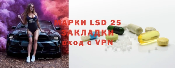 хмурый Арсеньев