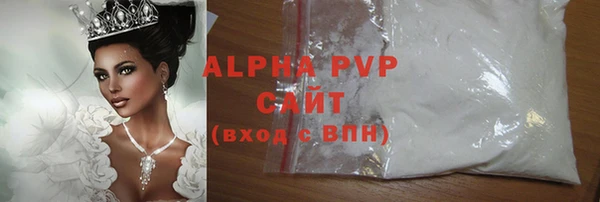 индика Снежинск