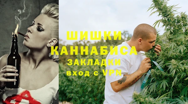 хмурый Арсеньев