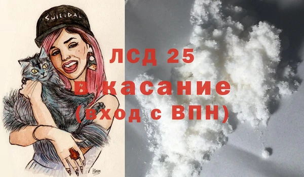 ПСИЛОЦИБИНОВЫЕ ГРИБЫ Алексин