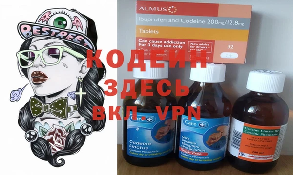 хмурый Арсеньев