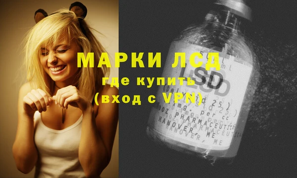 хмурый Арсеньев