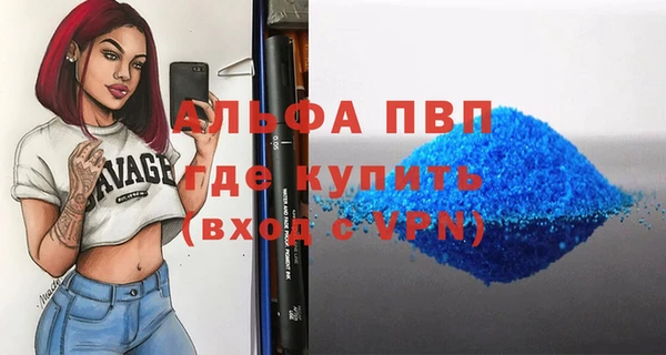 хмурый Арсеньев